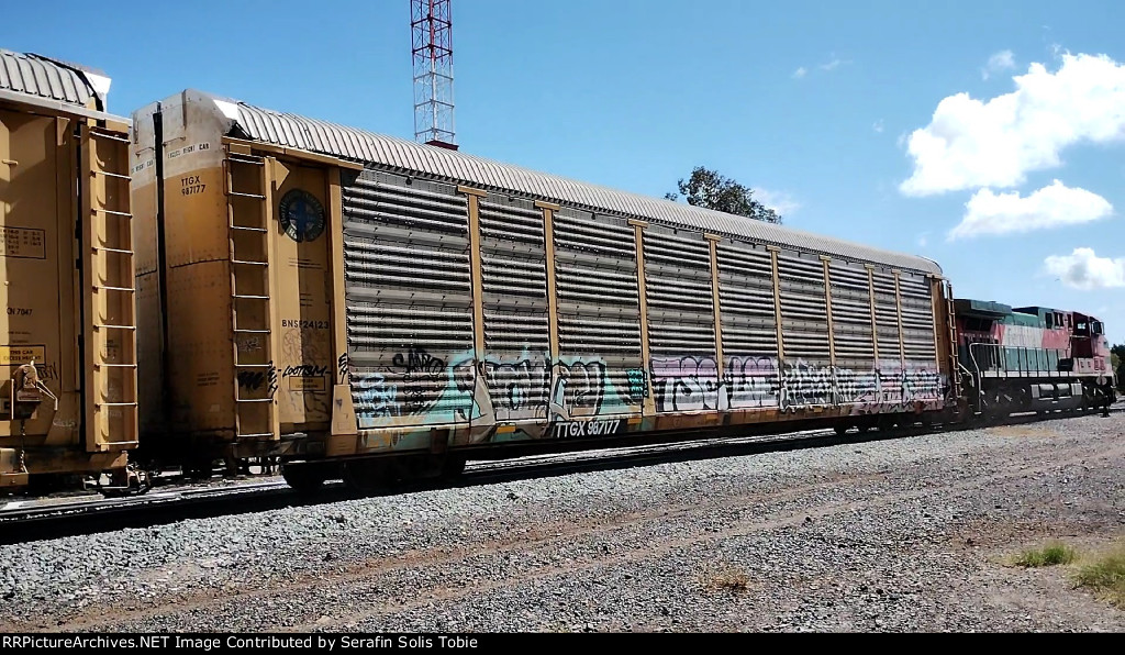 BNSF 24123 TTGX 987177 Con Grafiti 